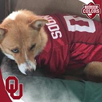 Terry Blacketer's profile image