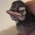 Patricia Martinez's profile image