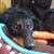 Kenton Dressler's profile image