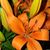 Patti Kowalski Keller's profile image