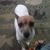 Donald Ter Haar's profile image