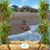 Terri Bachman Ayres's profile image