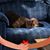 Loretta Burk Webster's profile image