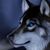 Kathy Tarver's profile image