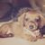 Nicole Hasse's profile image