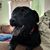 Cathy Pelli's profile image