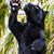 Tracy Marie Elrick's profile image