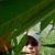 Chuck Crawford's profile image