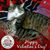 Sandra Kindl's profile image