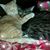 Donna VanDexter's profile image