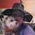 Kristy Summers's profile image