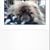 Donna Almashy's profile image