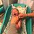 Lynda Isbell's profile image