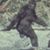 John Urzedowski's profile image
