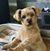 Blair Gassien's profile image