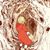 Teresa Amarillas's profile image