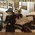 Cindy Hadley Stoner's profile image