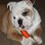 Lisa Boritzke's profile image