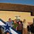Tammy Schenk Baum's profile image