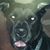 Kim Hamilton's profile image
