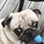 Kim Ortman Van Wie's profile image