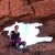 Tierney Jeffers Gerber's profile image