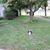 Nancy Marie Etheridge's profile image