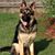 Phillip Albers's profile image
