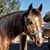 Bobbie Pope's profile image