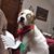 Deb Riley's profile image