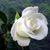 Thảo Thị Phương Đặng's profile image