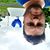 Steve Lavelle's profile image