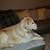 Sherry Barragan's profile image