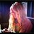 Anna Jennings's profile image