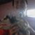 Matheu Rony's profile image
