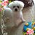 Rozanne Szczublewski's profile image