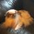 Barbara Elfie Rodriguez's profile image