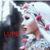 Lupe Velarde Leon's profile image