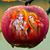 Amit Tiwari's profile image