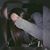 Cailyn Layton's profile image