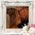 Mickie Bishopp's profile image