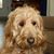 Sandy Hendricks Roy Spangler's profile image