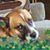 Doug Hannam's profile image
