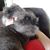 Rose Ann Troutner's profile image