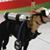 Bob Stillwell's profile image