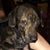 Lisa Marinaro's profile image