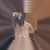 Raniece Taylor Allen's profile image