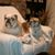 Lisa Parks Frantz's profile image