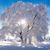 Diane C Grigg's profile image