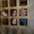 Diane Horton's profile image